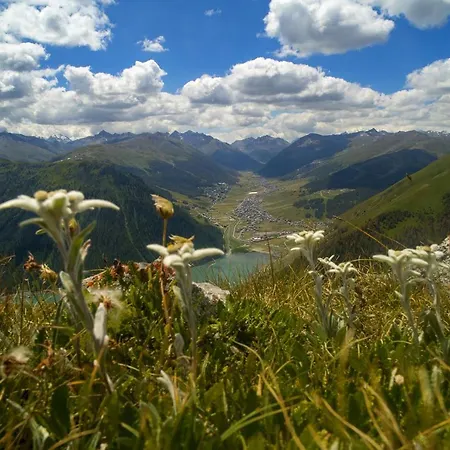 Stefano 1 Apartman *